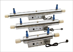 ������ɱ����